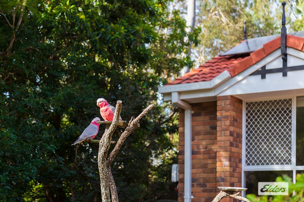 3 Telfer Street, Shailer Park, QLD, 4128 - Image 14