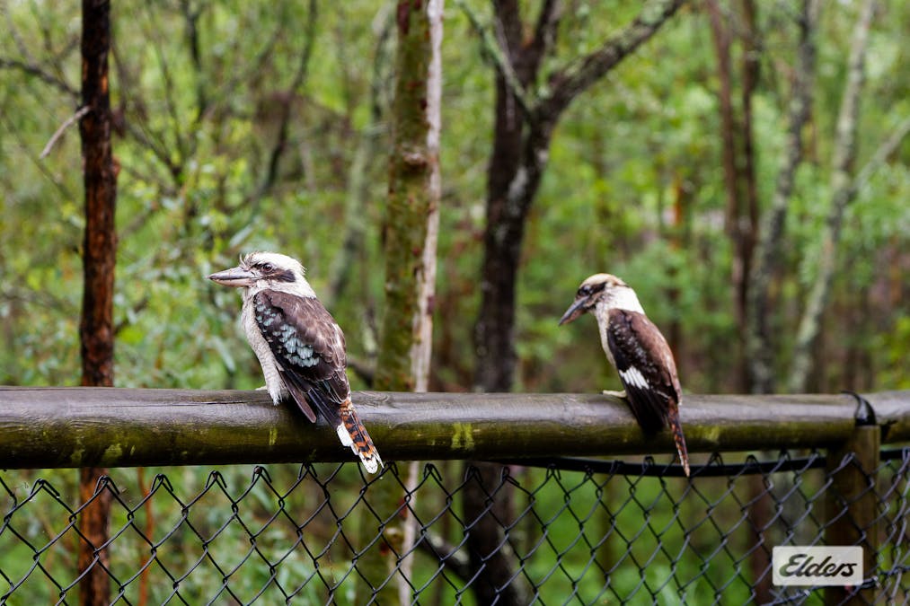 63-65 Kimberley Drive, Shailer Park, QLD, 4128 - Image 28