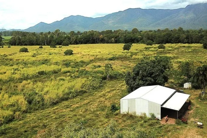 Lot 9 Milanesio Road, Kennedy, QLD, 4816 - Image 2