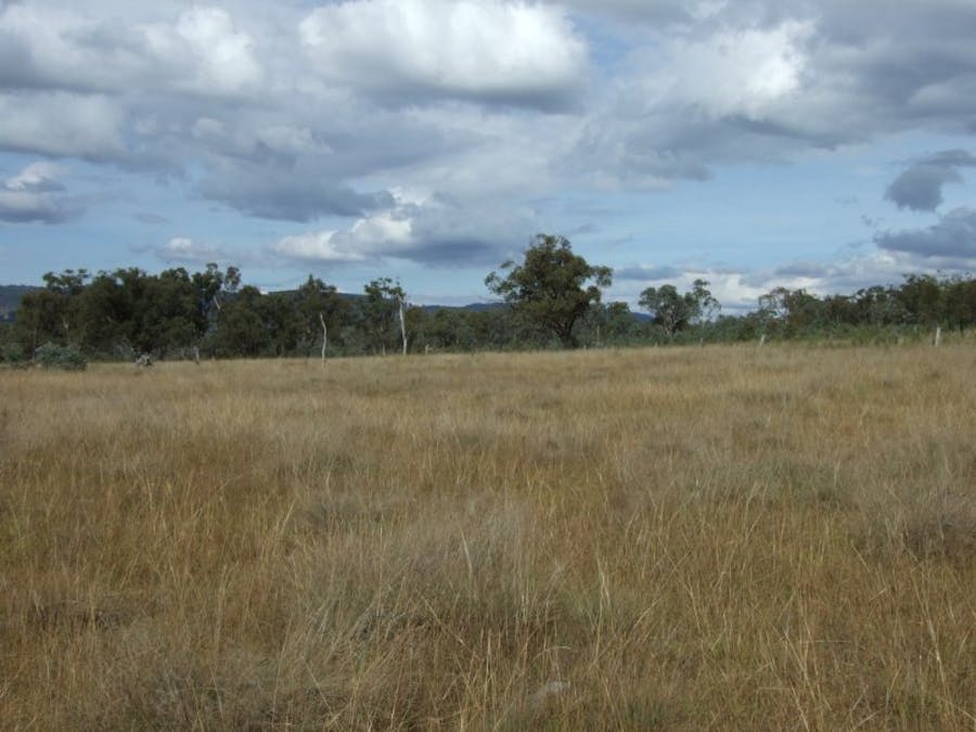 491 Schroder Road, Tenterfield, NSW, 2372 - Image 5