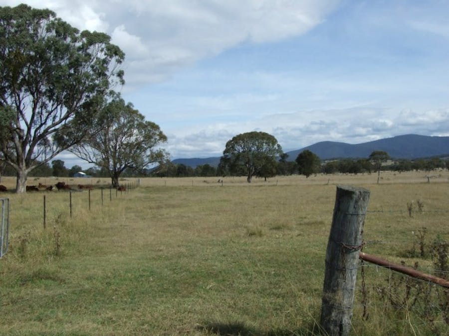491 Schroder Road, Tenterfield, NSW, 2372 - Image 7
