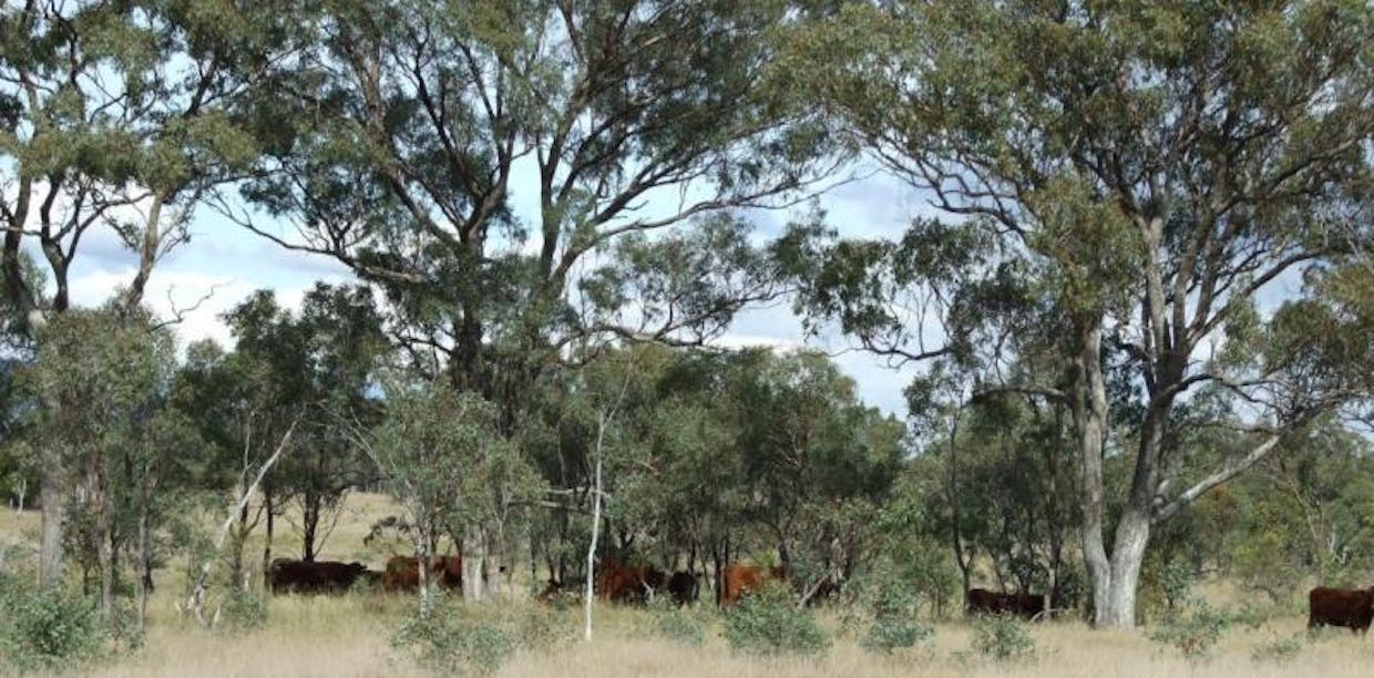 491 Schroder Road, Tenterfield, NSW, 2372 - Image 8