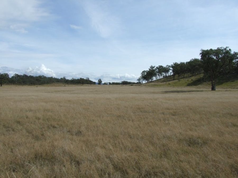 491 Schroder Road, Tenterfield, NSW, 2372 - Image 9