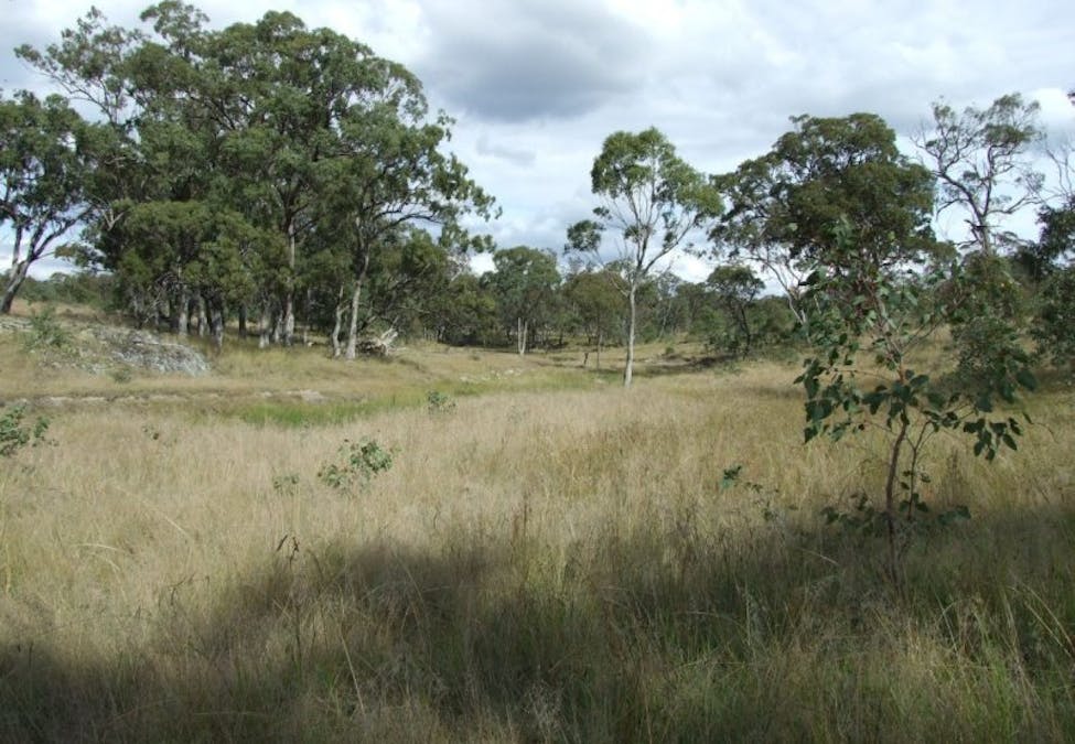 491 Schroder Road, Tenterfield, NSW, 2372 - Image 10