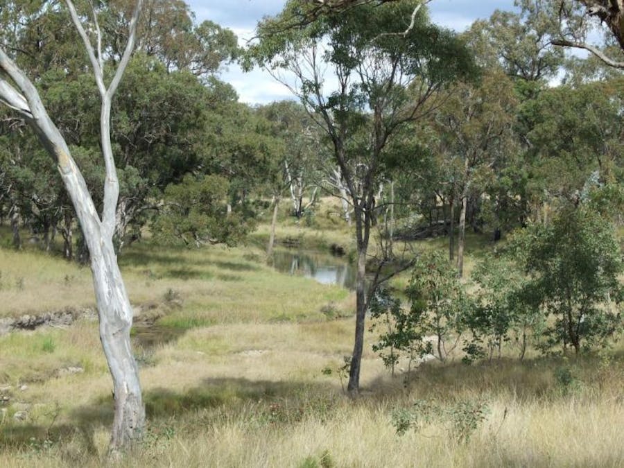 491 Schroder Road, Tenterfield, NSW, 2372 - Image 11