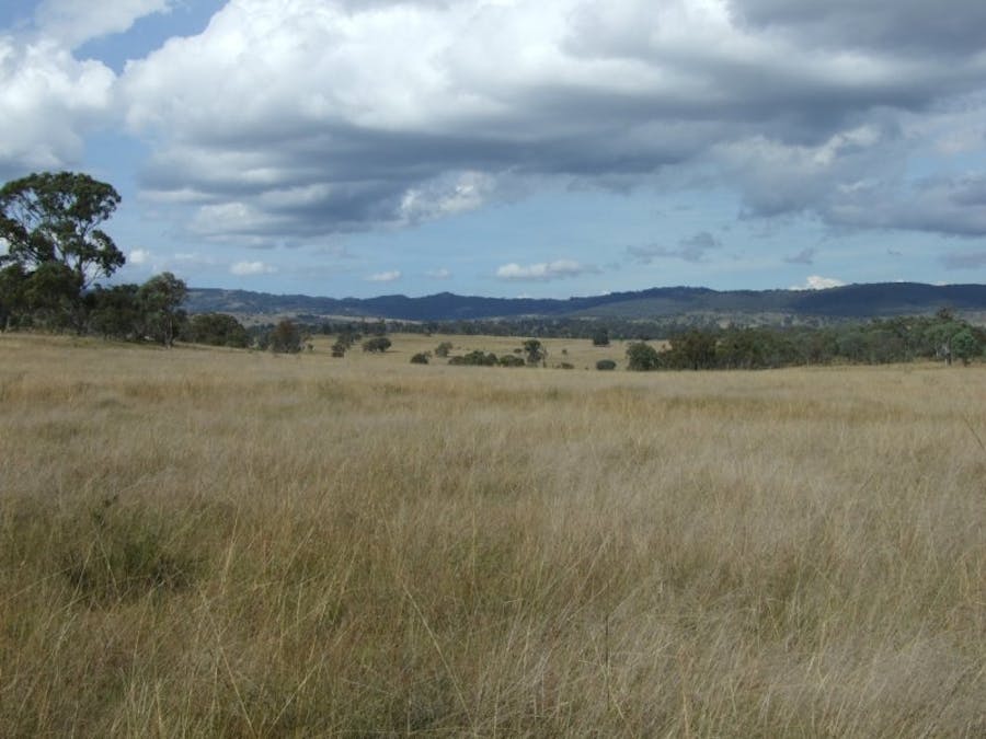 491 Schroder Road, Tenterfield, NSW, 2372 - Image 12