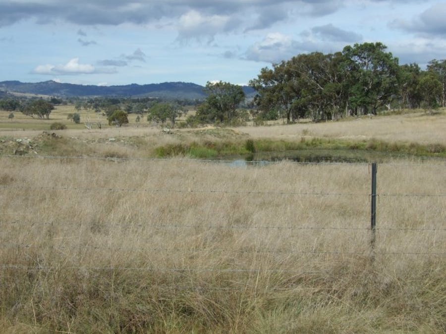 491 Schroder Road, Tenterfield, NSW, 2372 - Image 13