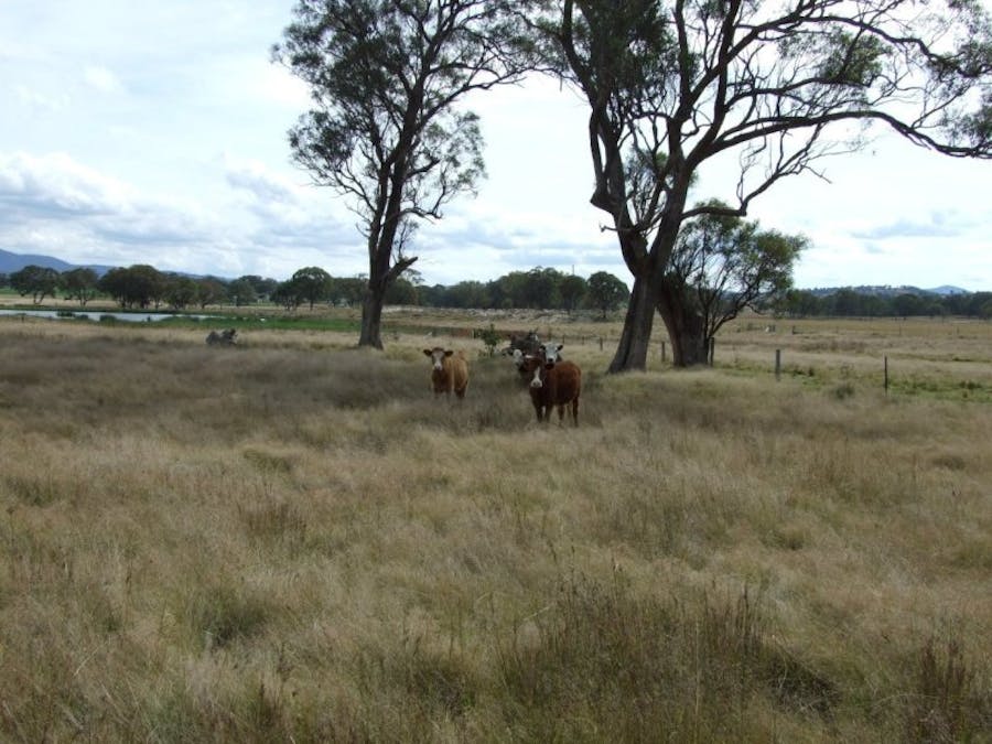 491 Schroder Road, Tenterfield, NSW, 2372 - Image 15
