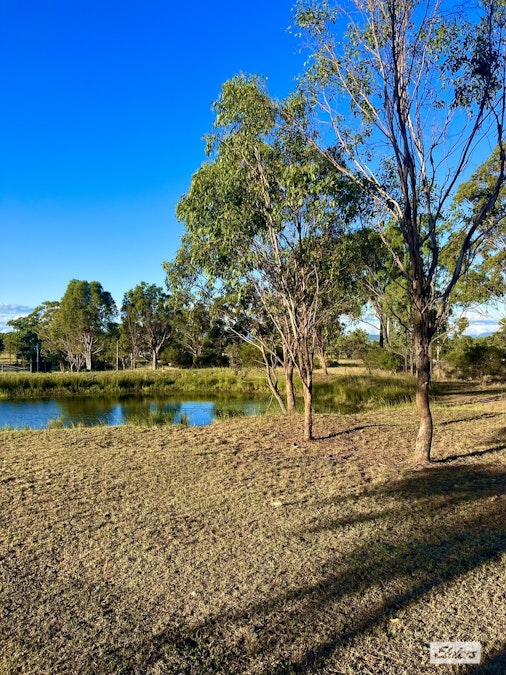 11 Smelter Road, Rosenthal Heights, QLD, 4370 - Image 16