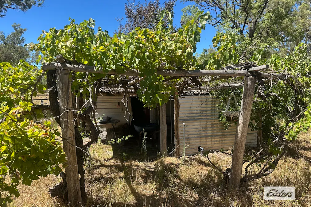 247 Uandi Road, Warroo, QLD, 4387 - Image 12