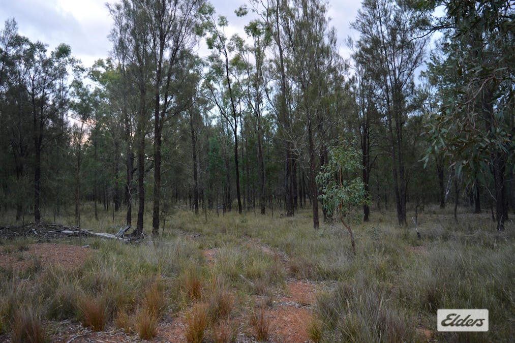 138 Kessler Road, Old Talgai, QLD, 4362 - Image 17