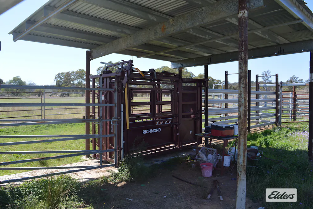 3094 Mosquito Creek Road, Mosquito Creek, QLD, 4387 - Image 10