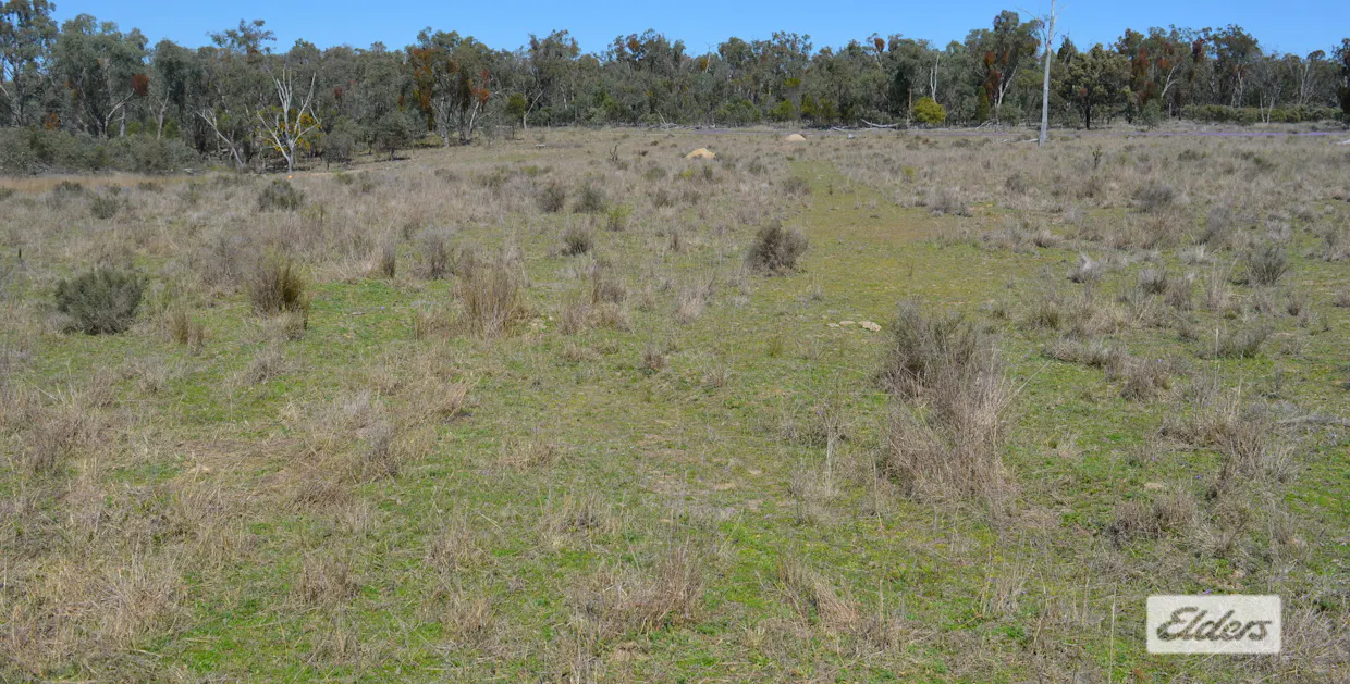 3094 Mosquito Creek Road, Mosquito Creek, QLD, 4387 - Image 5