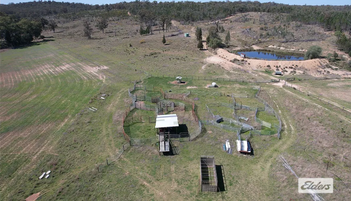 3094 Mosquito Creek Road, Mosquito Creek, QLD, 4387 - Image 13