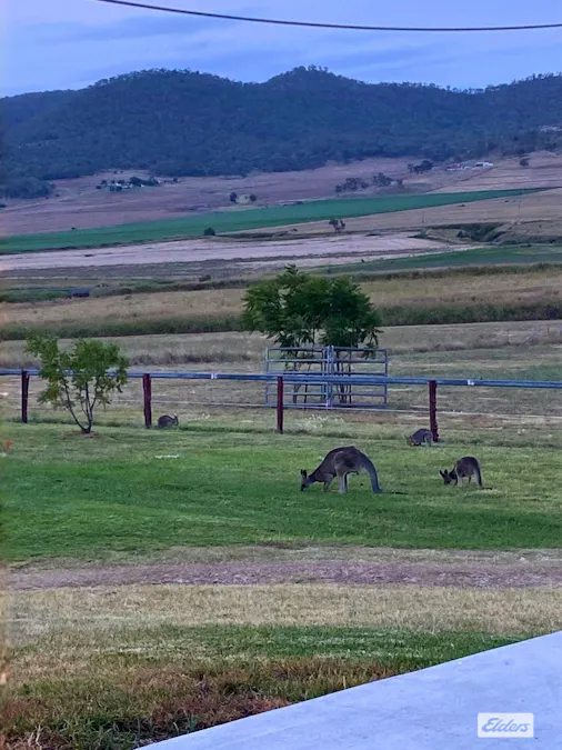 Lot 2 Gladfield Back Road, Gladfield, QLD, 4370 - Image 5