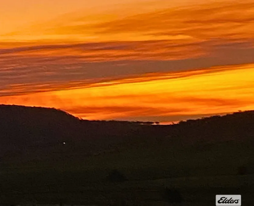 Lot 2 Gladfield Back Road, Gladfield, QLD, 4370 - Image 6