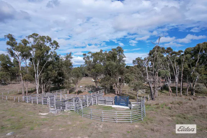 67 Dunn Road, Stanthorpe, QLD, 4380 - Image 1