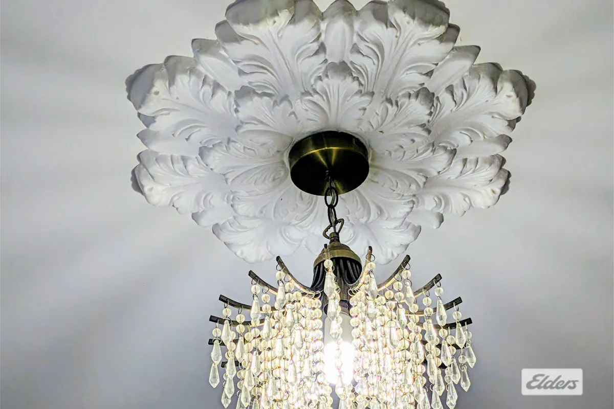 119 Locke Street — photo 8 of 24