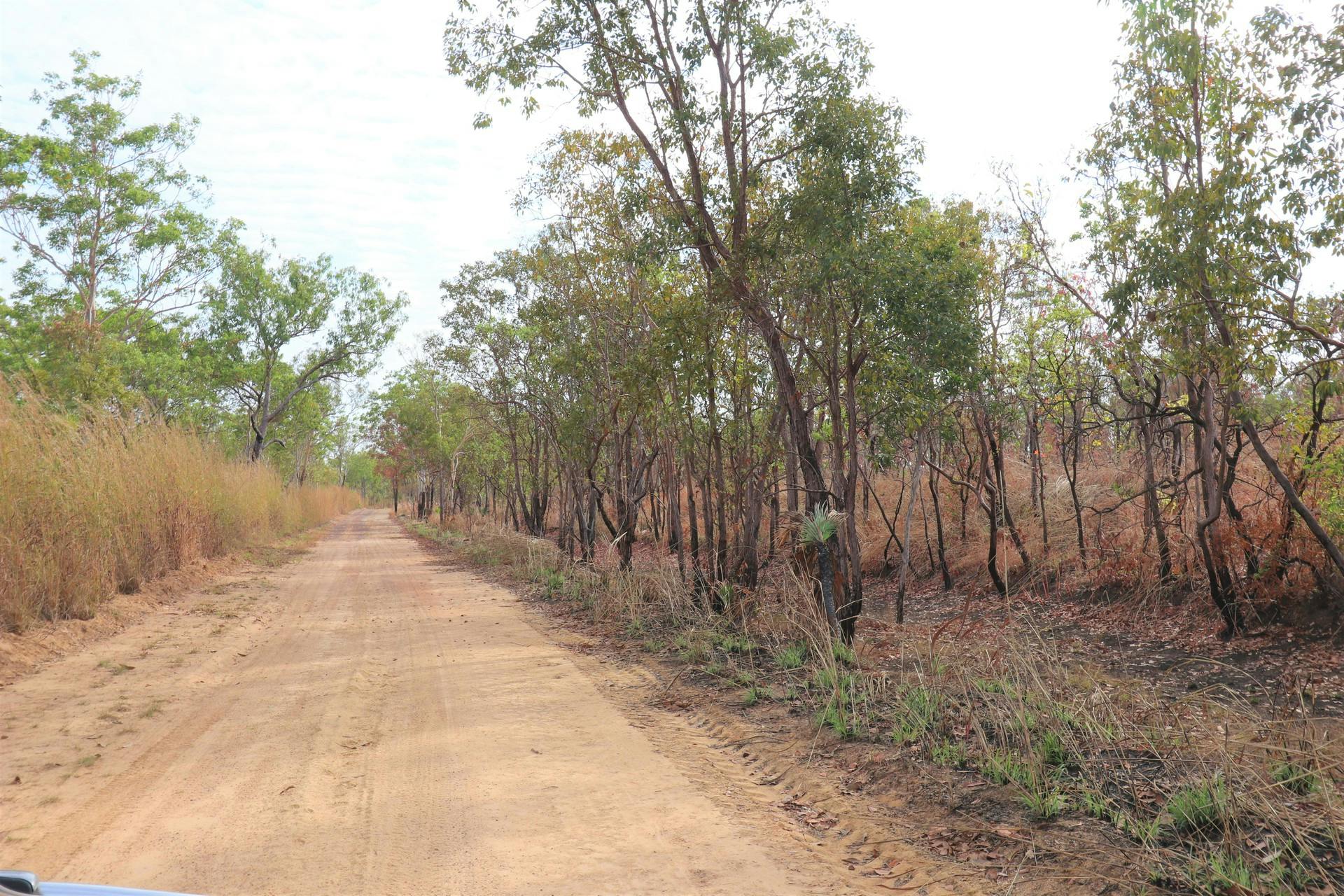 275 Coach Road, Batchelor, NT, 0845 For Sale Elders Real Estate