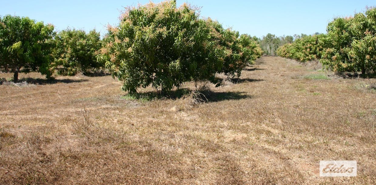 2150 Edith Farms Road, Katherine, NT, 0850 - Image 6