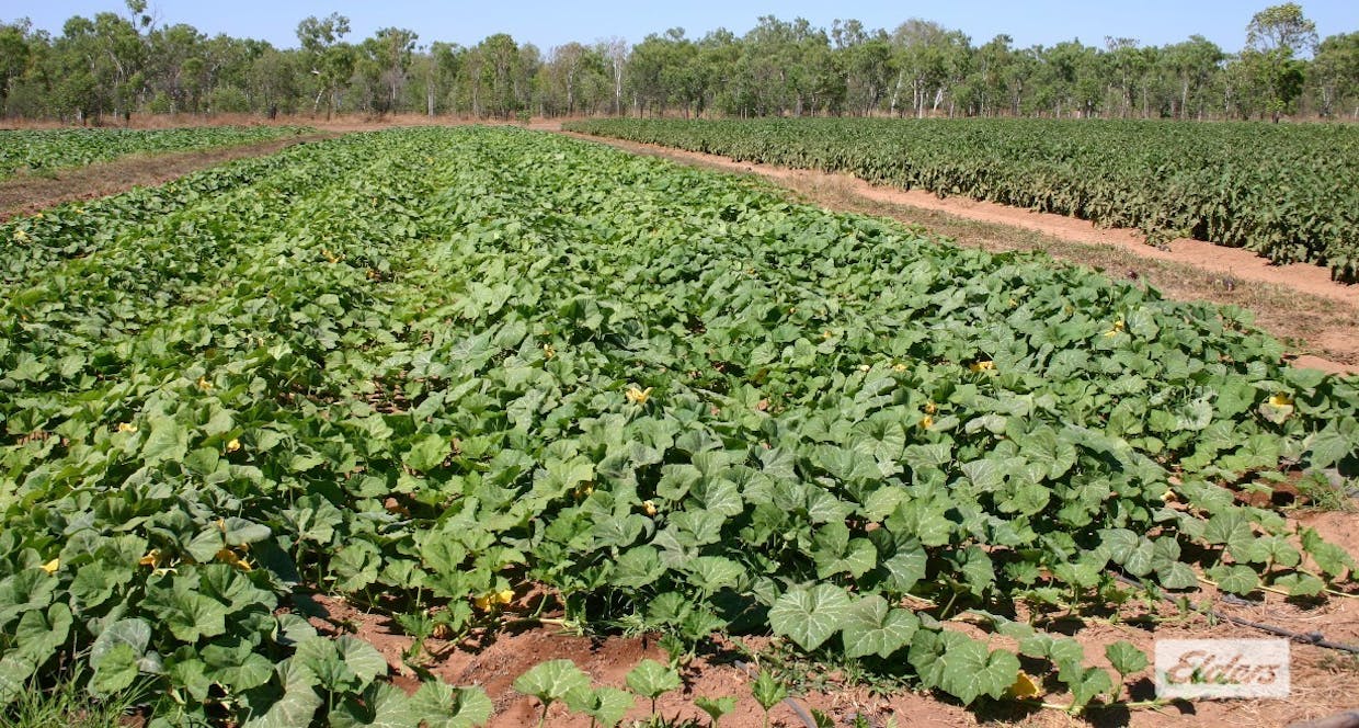 2150 Edith Farms Road, Katherine, NT, 0850 - Image 7