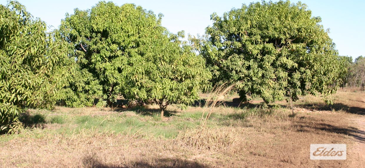 2150 Edith Farms Road, Katherine, NT, 0850 - Image 13