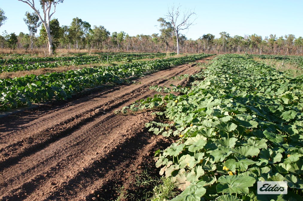 2150 Edith Farms Road, Katherine, NT, 0850 - Image 14