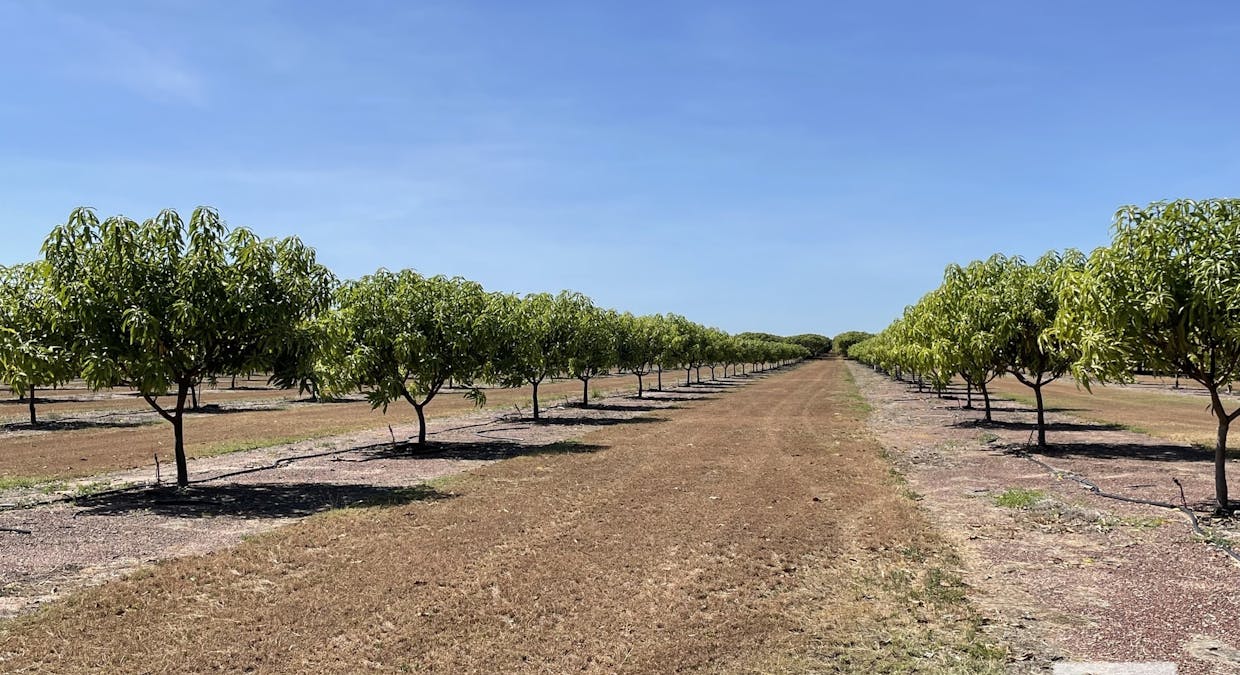 30 Cain Road, Lambells Lagoon, NT, 0822 - Image 8