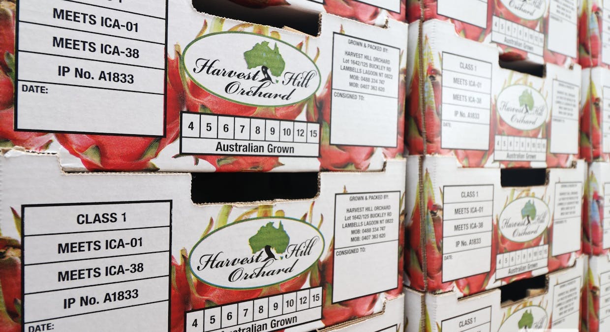 125 Buckley Road, Lambells Lagoon, NT, 0822 - Image 2