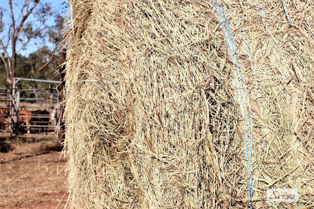 965 Strickland Road, Adelaide River, NT, 0846 - Image 6