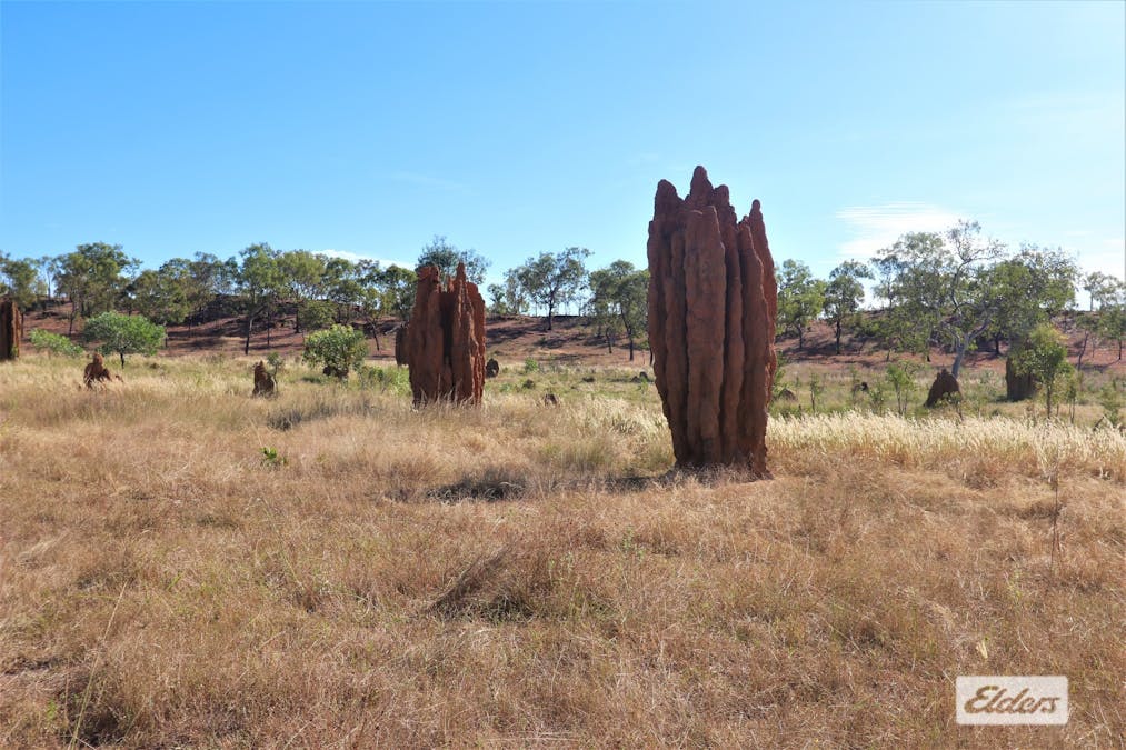 965 Strickland Road, Adelaide River, NT, 0846 - Image 21