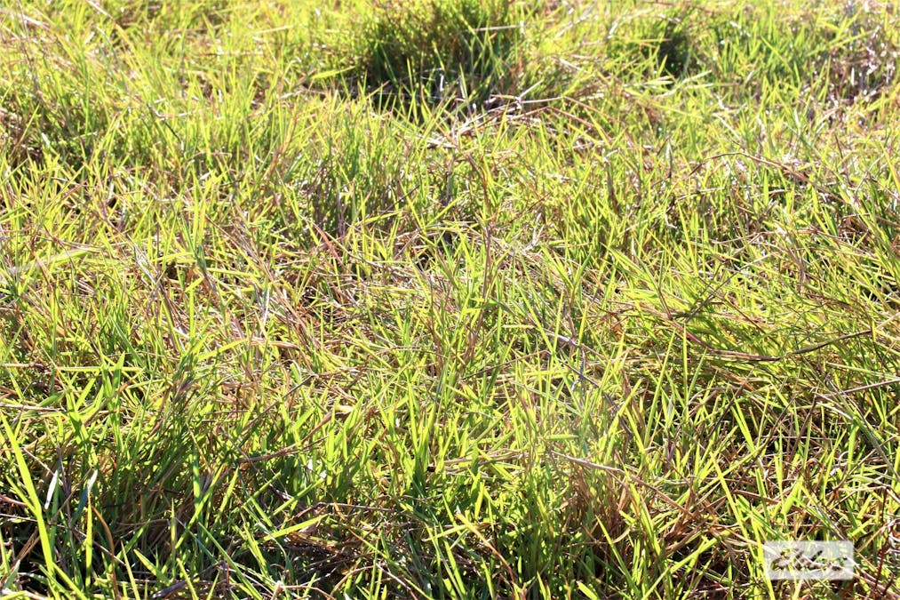 965 Strickland Road, Adelaide River, NT, 0846 - Image 23