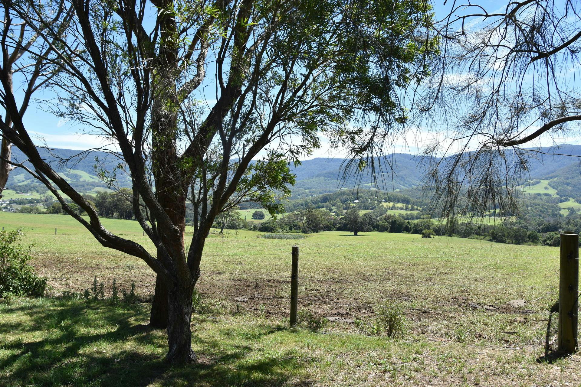 211 Minnamurra Lane, Jamberoo, NSW, 2533 Sold Elders Real Estate