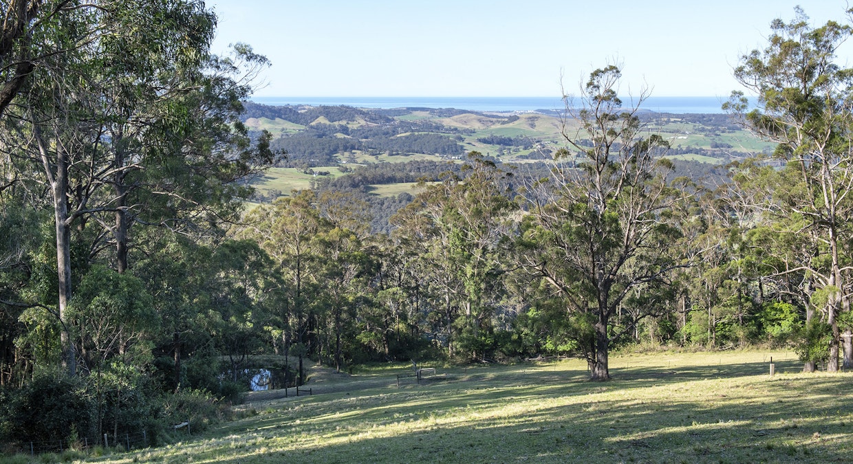 Jamberoo, NSW, 2533 - Image 20