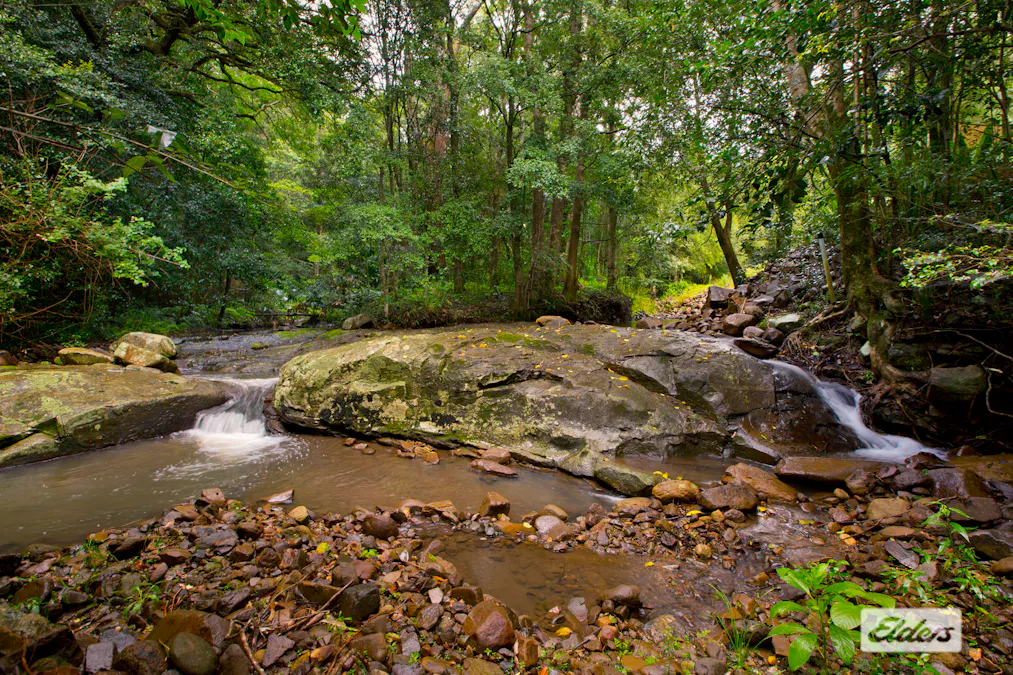 411 Jamberoo Mountain Road, Jamberoo, NSW, 2533 - Image 11