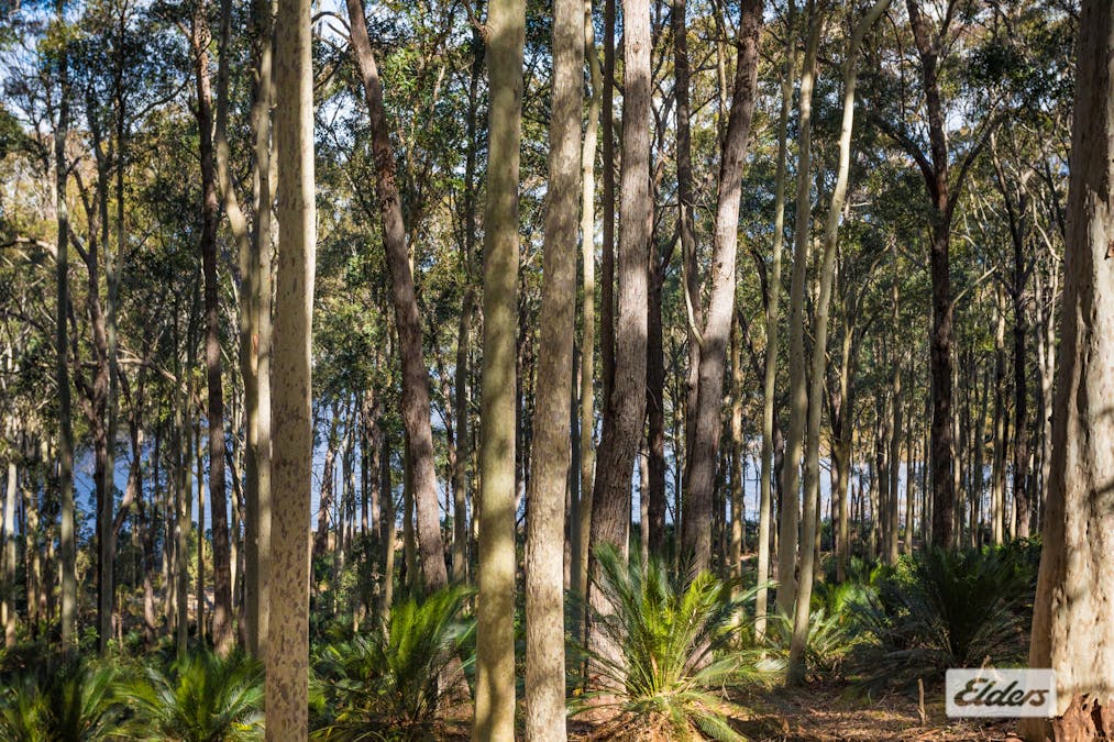 28 Middle Beach Road, Tanja, NSW, 2550 - Image 20