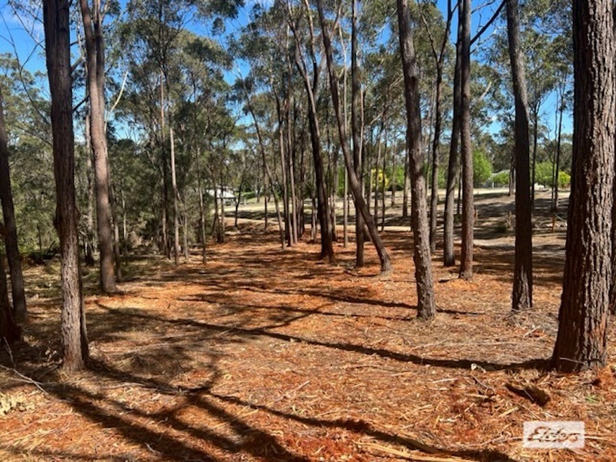 Lot B Bournda Park Way, Wallagoot, NSW, 2550 - Image 3