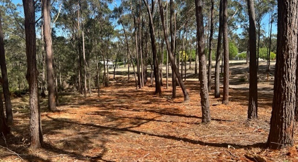 Lot B Bournda Park Way, Wallagoot, NSW, 2550 - Image 3