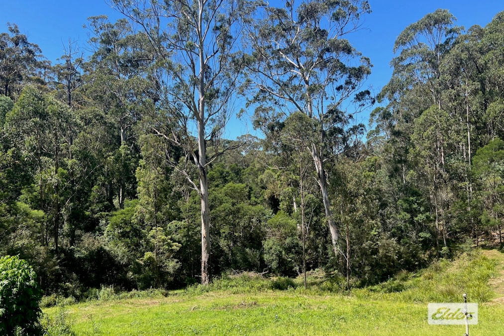 262 Mumbulla Creek Road, Tanja, NSW, 2550 - Image 12