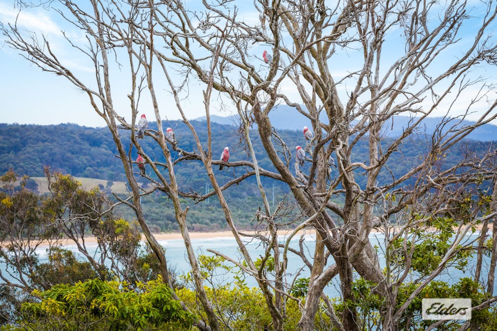 9  Beach Street, Tathra, NSW, 2550 - Image 5