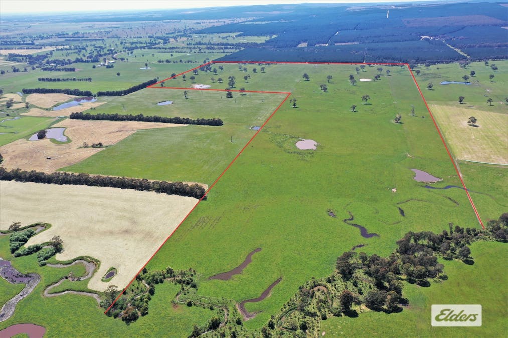 Rosedale - Flynns Creek Road, Flynn, VIC, 3844 - Image 1