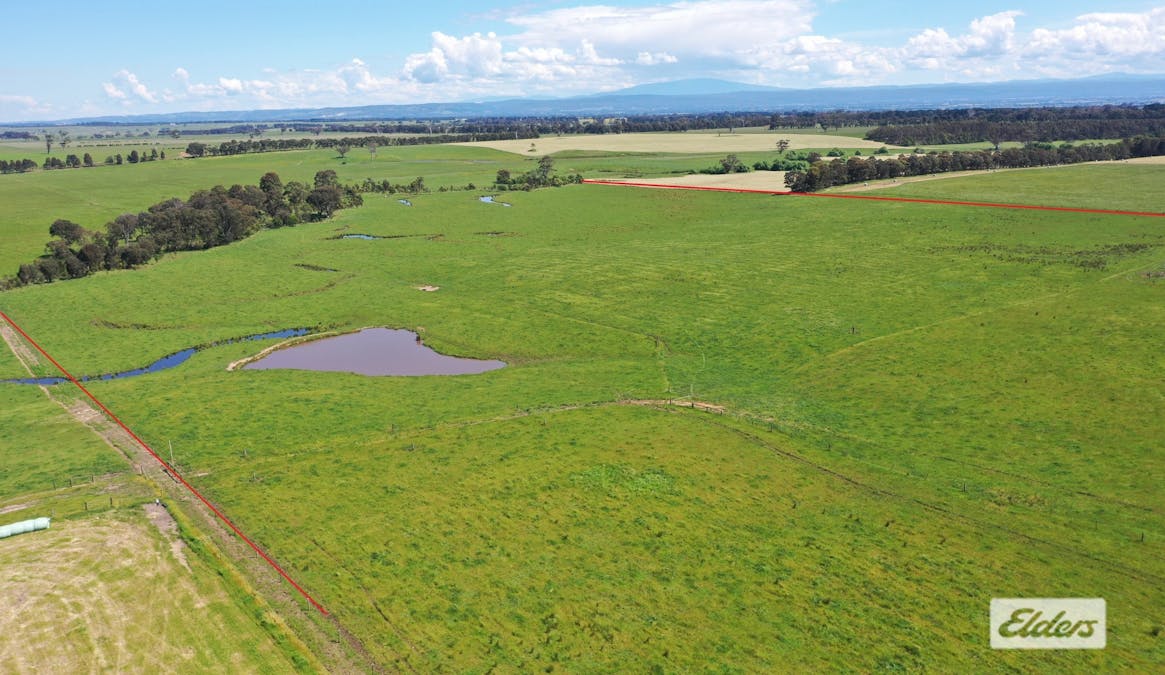 Rosedale - Flynns Creek Road, Flynn, VIC, 3844 - Image 8