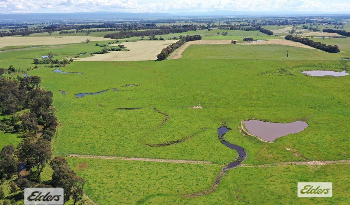 Rosedale - Flynns Creek Road, Flynn, VIC, 3844 - Image 5