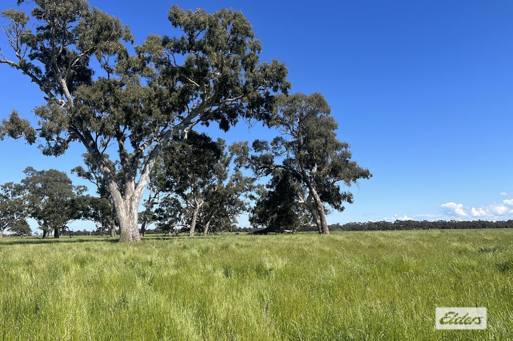 Rosedale - Flynns Creek Road, Flynn, VIC, 3844 - Image 2