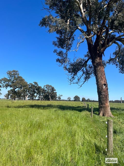 Rosedale - Flynns Creek Road, Flynn, VIC, 3844 - Image 7