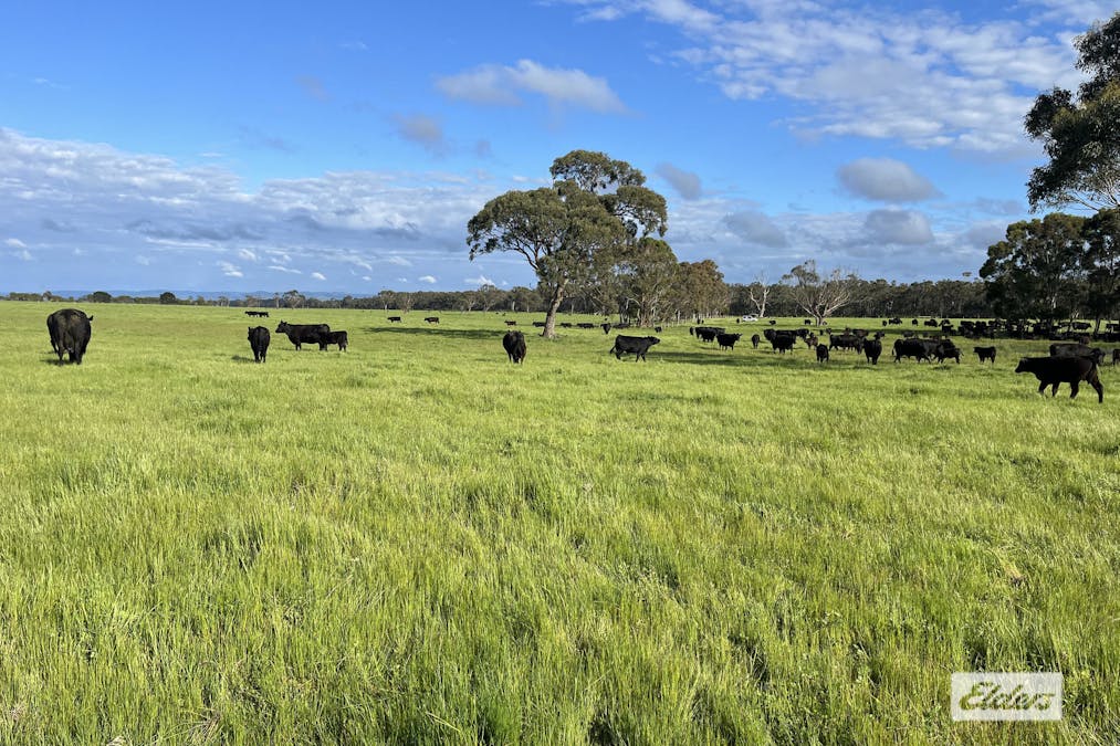 Rosedale - Flynns Creek Road, Flynn, VIC, 3844 - Image 4