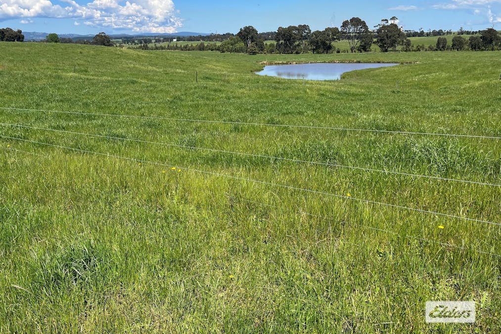 Rosedale - Flynns Creek Road, Flynn, VIC, 3844 - Image 9