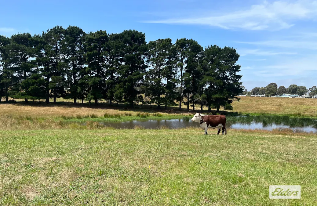 43 Minter Road, Johnsonville, VIC, 3902 - Image 16