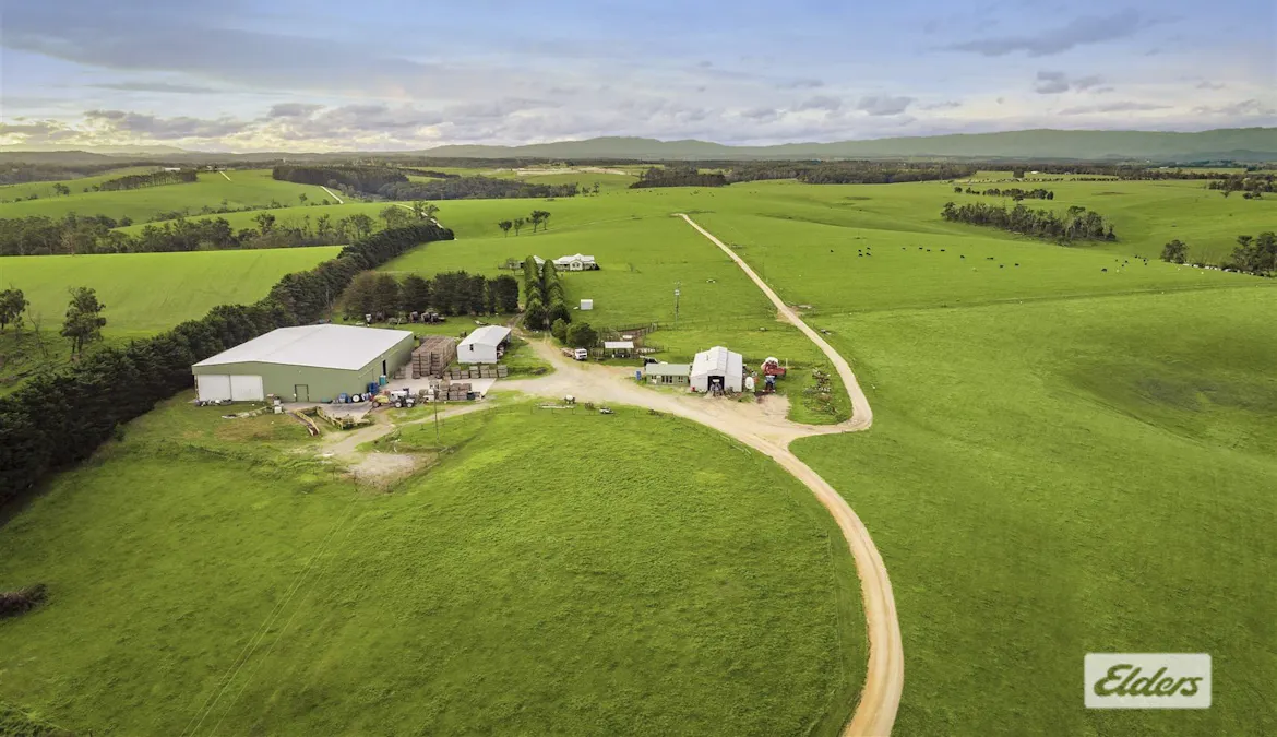 59 Parkins Road, Shady Creek, VIC, 3821 - Image 5