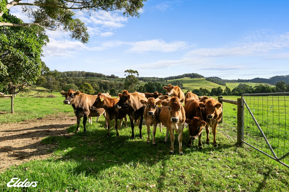 83 Greigs Creek Road, Won Wron, VIC, 3971 - Image 5